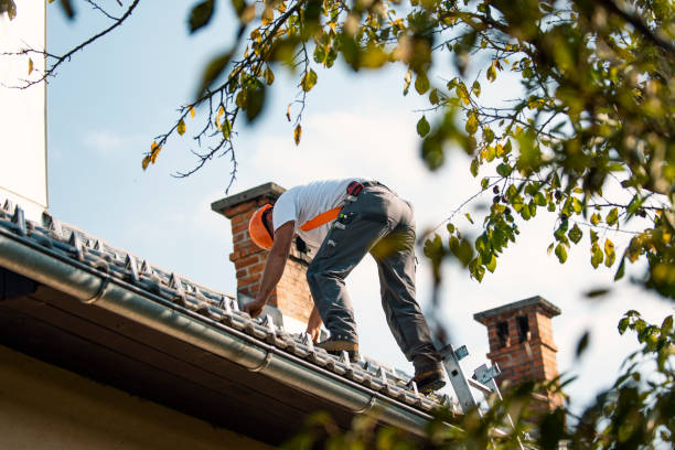 Best Residential Roofing Contractor  in New Brighton, MN