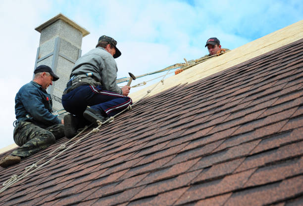 Best Storm Damage Roof Repair  in New Brighton, MN