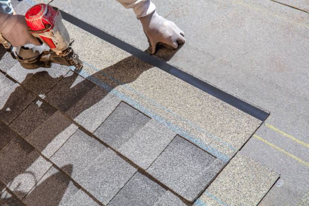 Best Metal Roofing Contractor  in New Brighton, MN